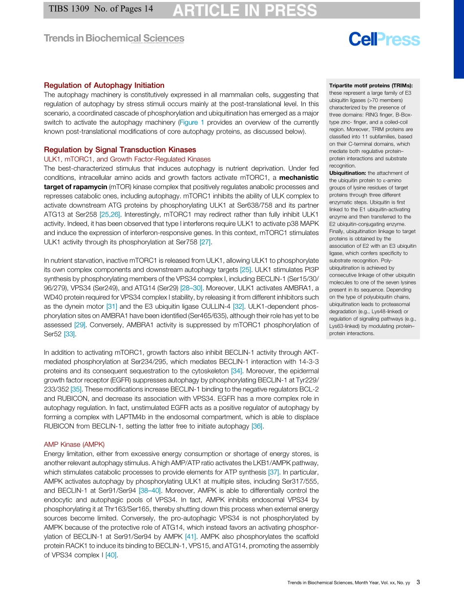Emerging Mechanisms in Initiating and Terminating Autophagy.pdf_第3页