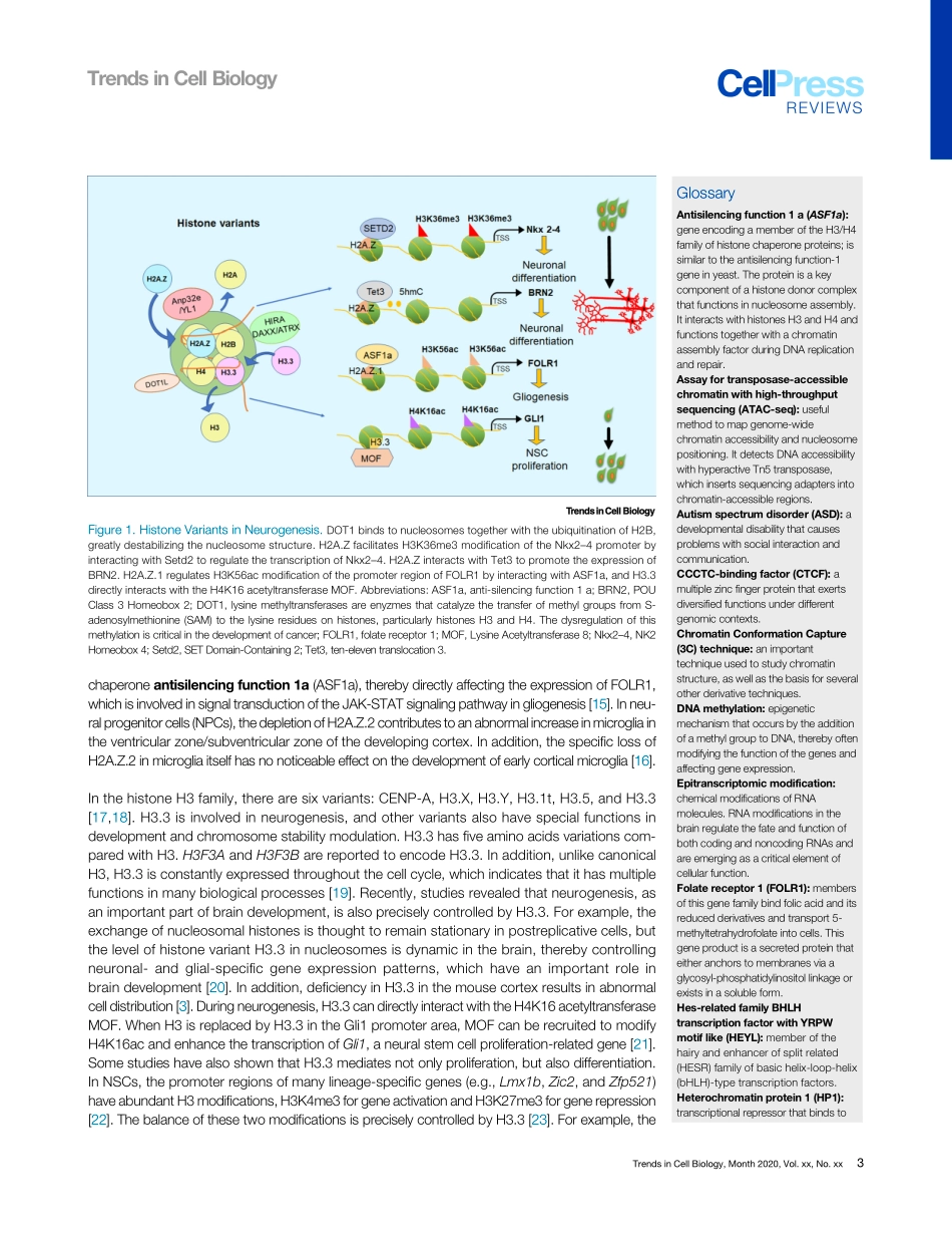 Histone Variants and Histone Modifications in.pdf_第3页
