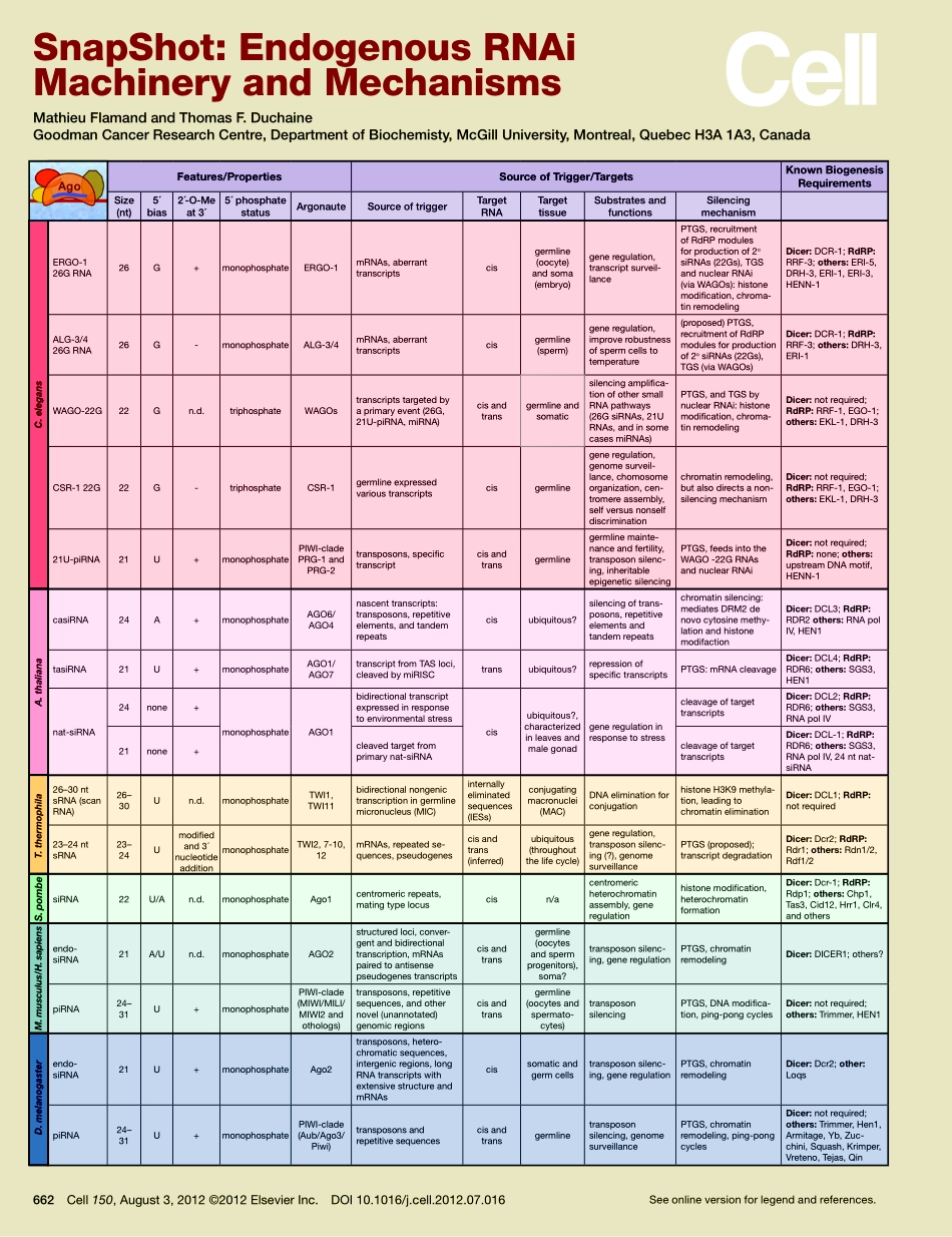 Endogenous RNAi Machinery and Mechanisms.pdf_第1页