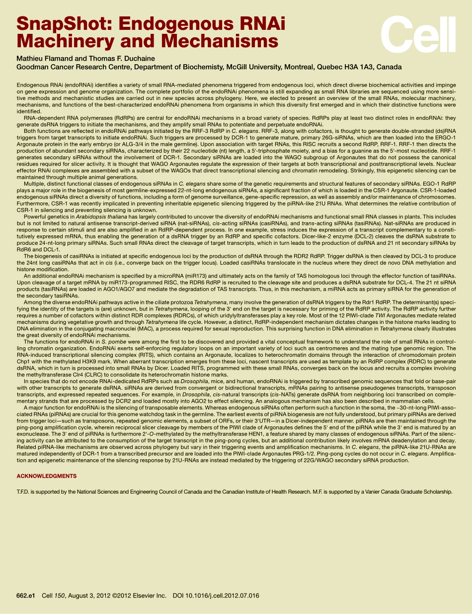 Endogenous RNAi Machinery and Mechanisms.pdf_第2页