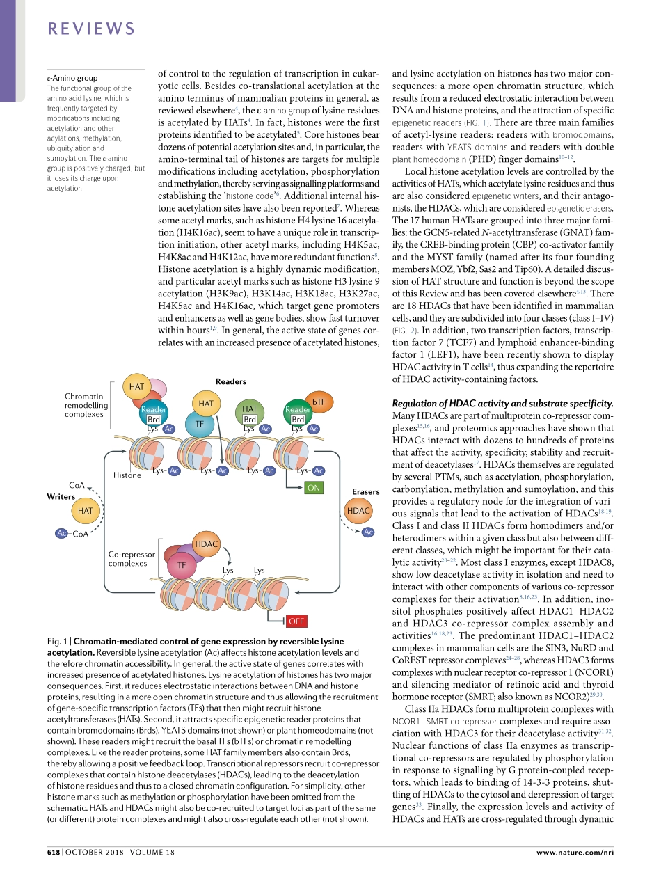 Ellmeier-2018-Histone deacetylase function in.pdf_第2页