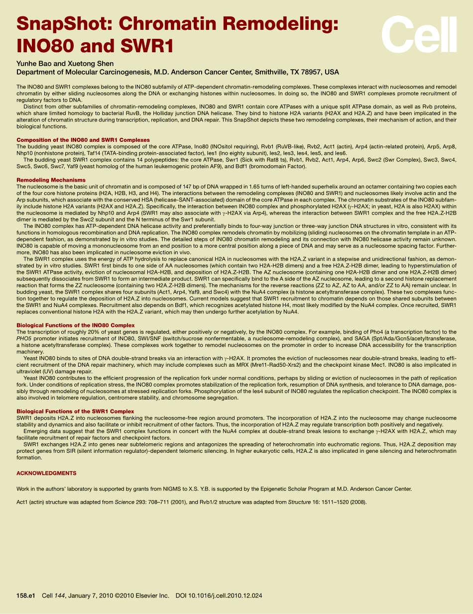 Chromatin Remodeling： INO80 and SWR1.PDF_第2页