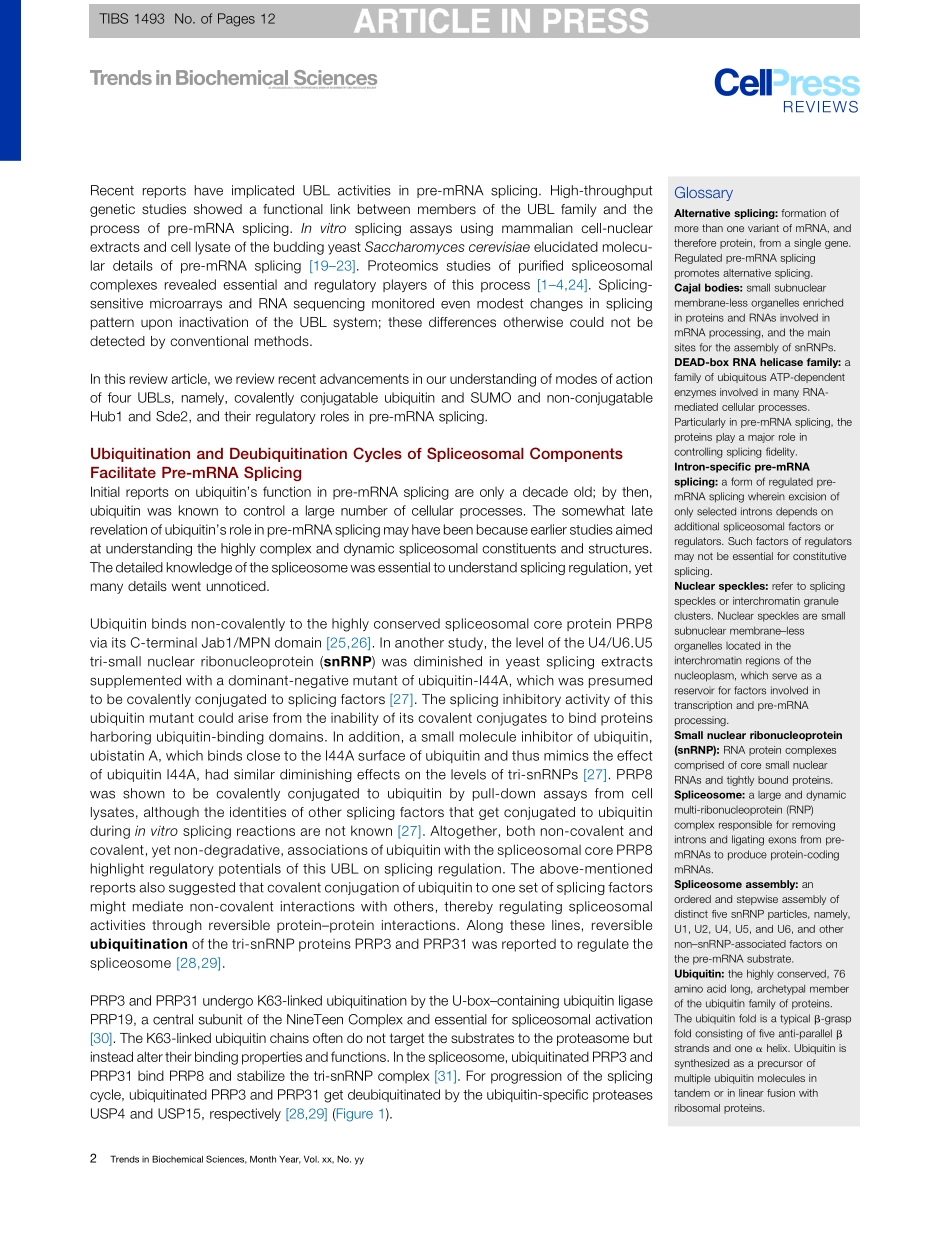 Emerging Roles of Ubiquitin-like Proteins in Pre-mRNA Splicing.pdf_第2页