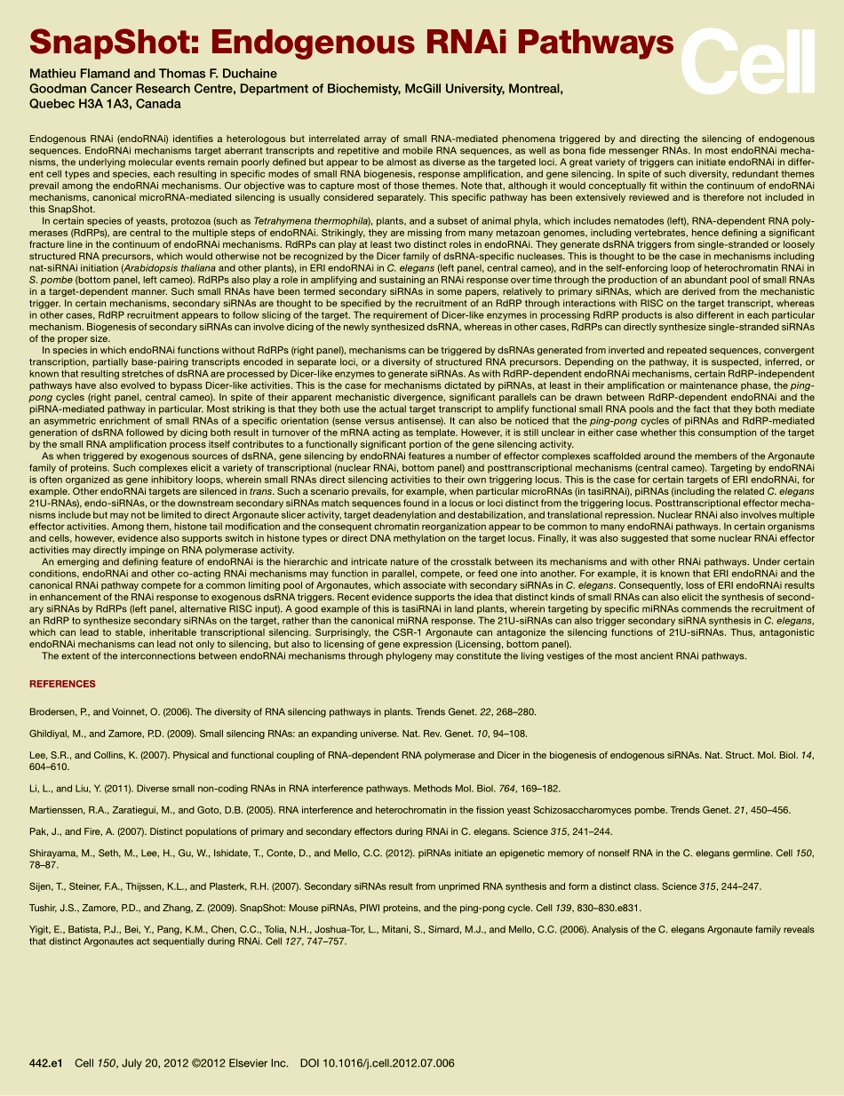 Endogenous RNAi Pathways.pdf_第2页
