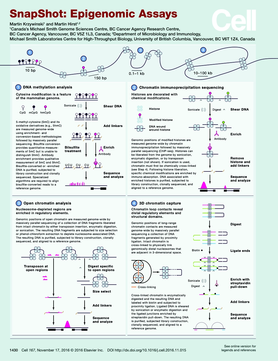 Epigenomic Assays.pdf_第1页