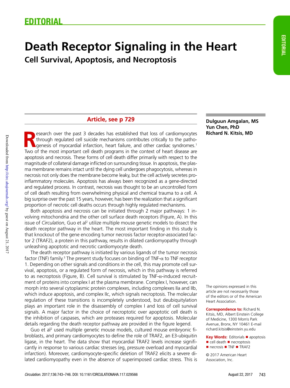 Circulation. 2017心脏中的死亡受体信号：细胞存活细胞凋亡和坏死性凋亡.pdf_第1页