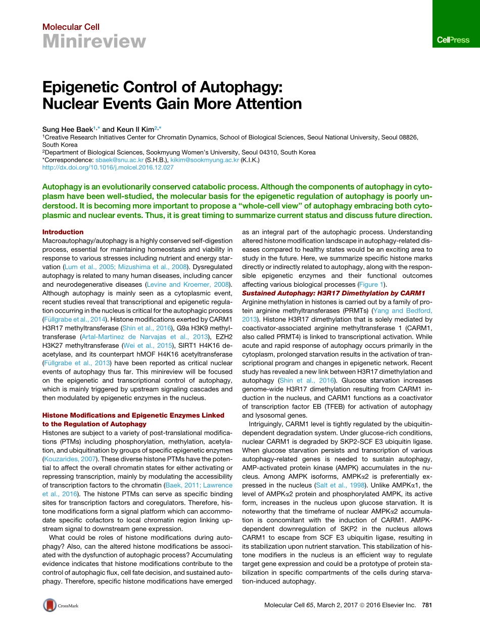 Epigenetic Control of Autophagy-Nuclear Events Gain More Attention.pdf_第1页