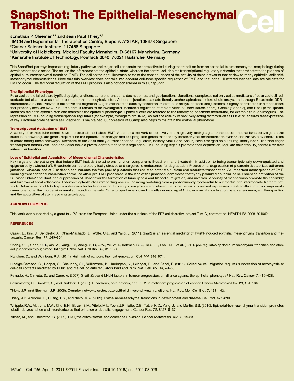 Epithelial-Mesenchymal Transition.pdf_第2页