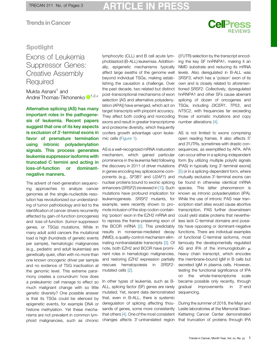 Exons of Leukemia Suppressor Genes Creative As.pdf_第1页
