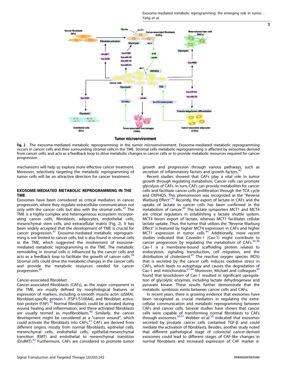 Exosome-mediated metabolic reprogramming the e.pdf_第3页