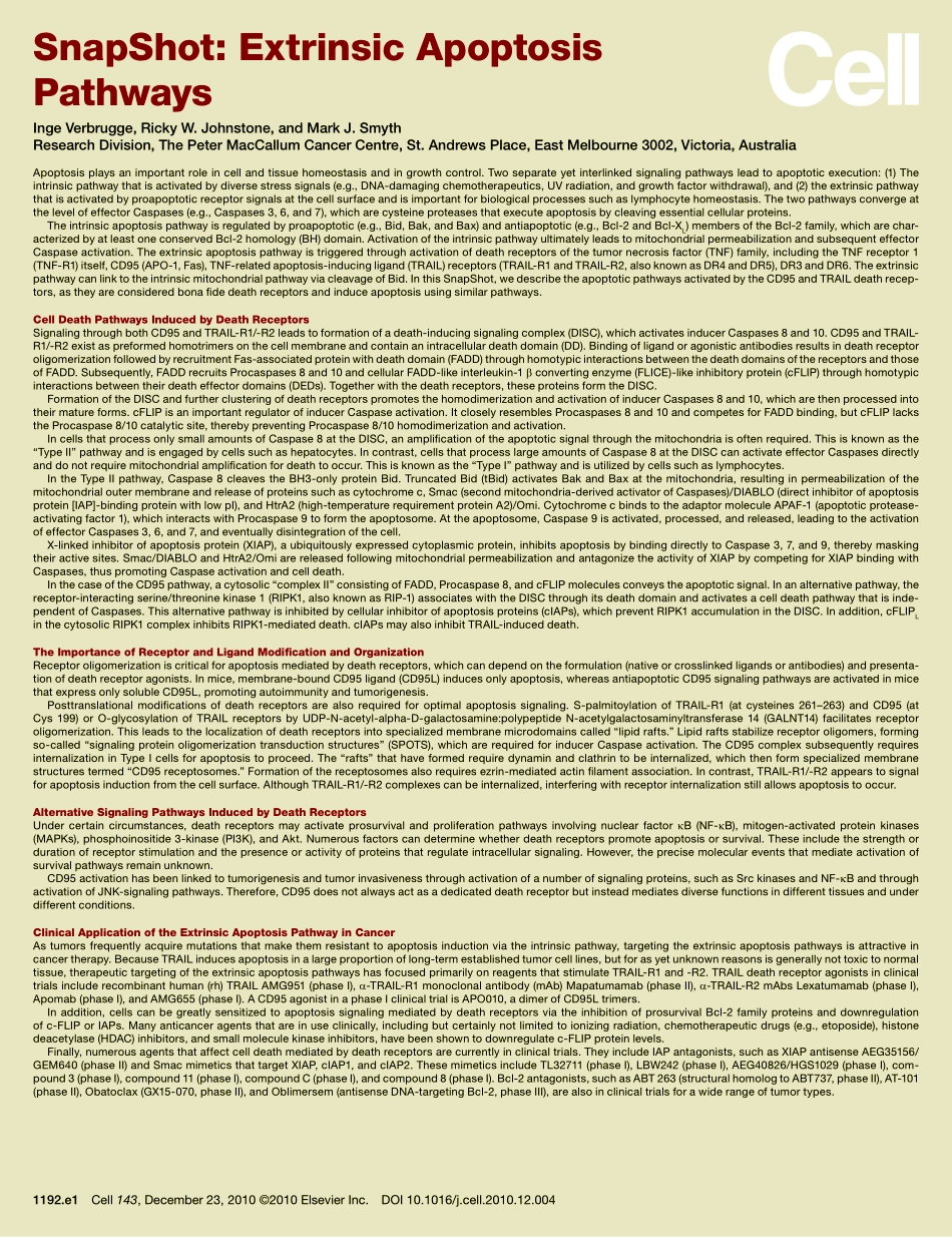 Extrinsic Apoptosis Pathways.pdf_第2页