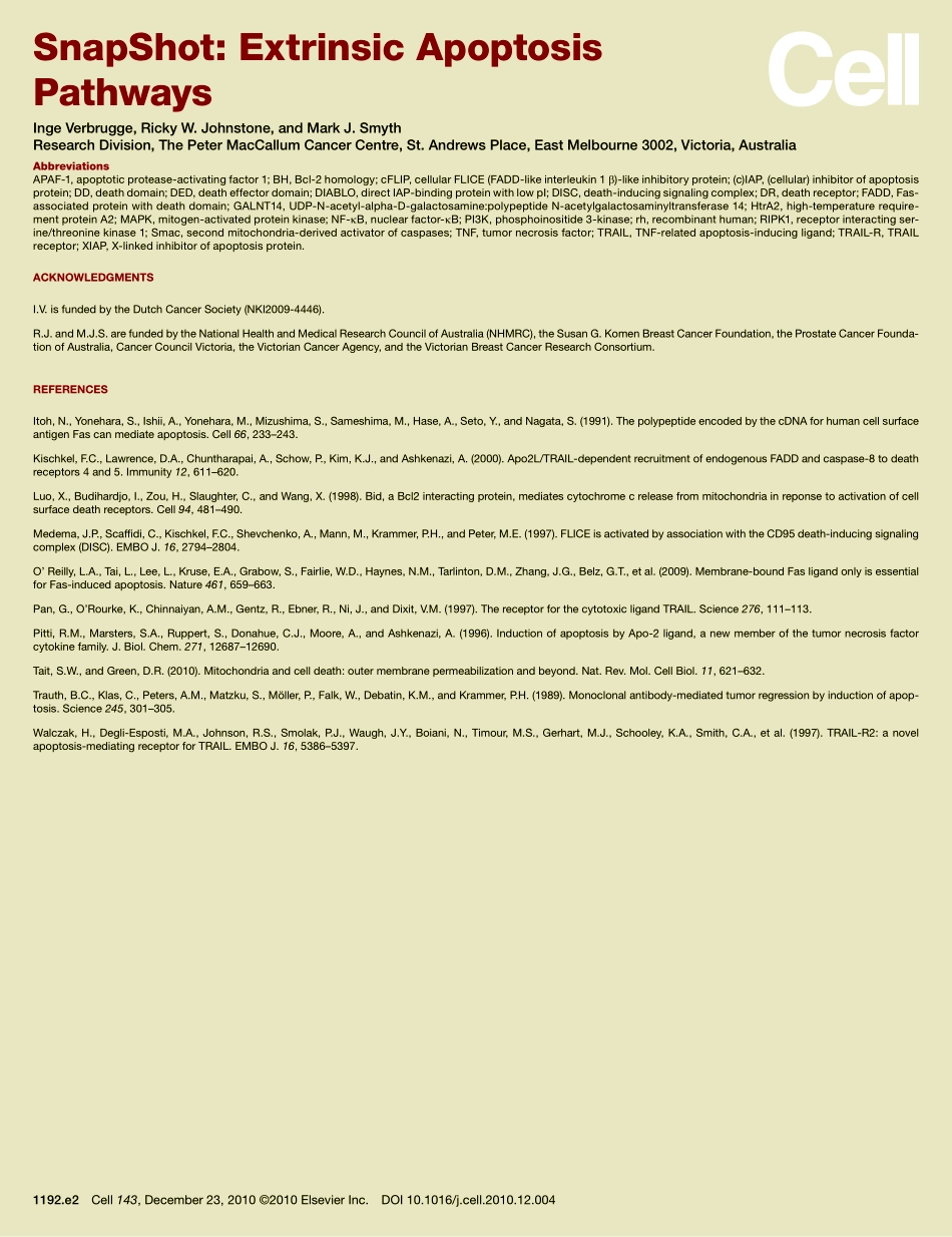 Extrinsic Apoptosis Pathways.pdf_第3页