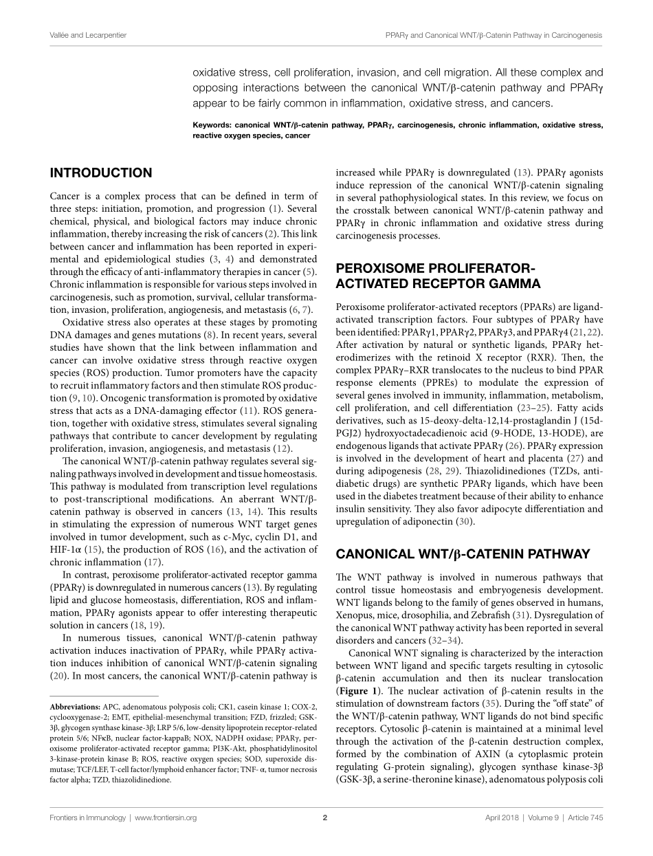 Crosstalk Between Peroxisome Proliferator-Activated Receptor Gamma and the Canonical WNT-β-Catenin Pathway in Chronic inflammation and Oxidative Stress During Carcinogenesis.pdf_第2页