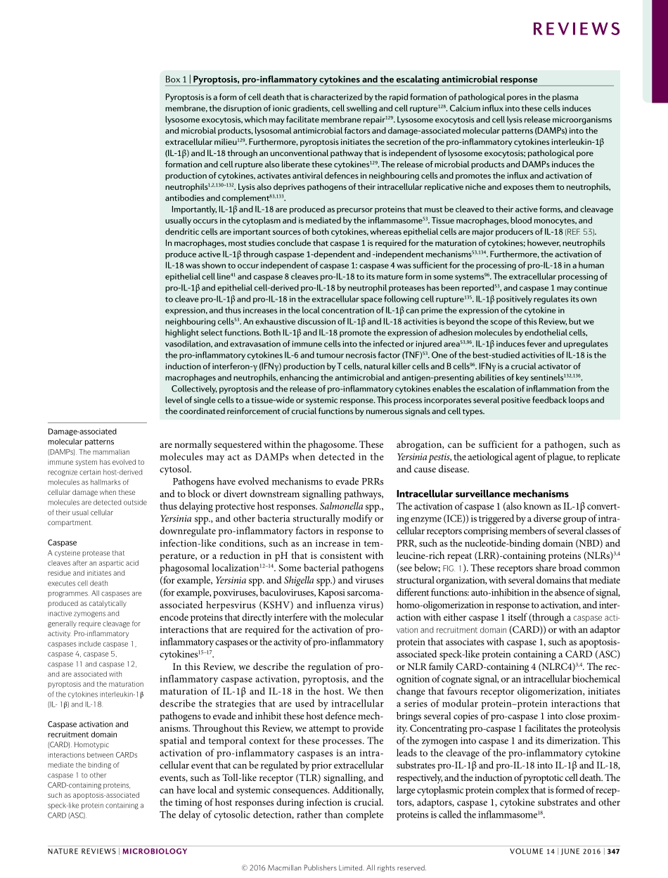 Evasion and interference-intracellular pathogens modulate caspasedependent inflammatory responses.pdf_第2页