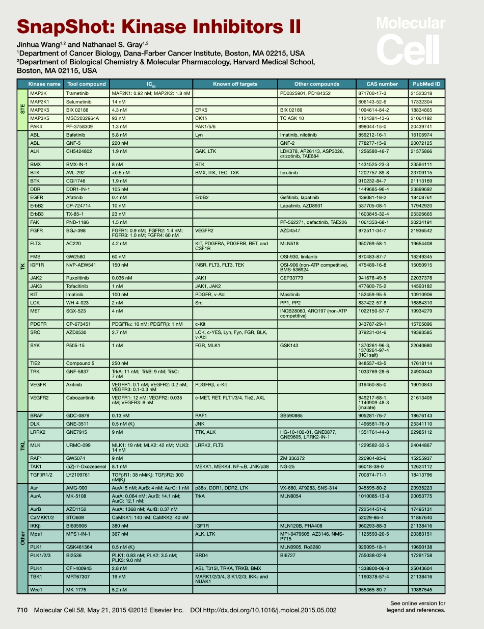 Kinase Inhibitors II.pdf_第1页