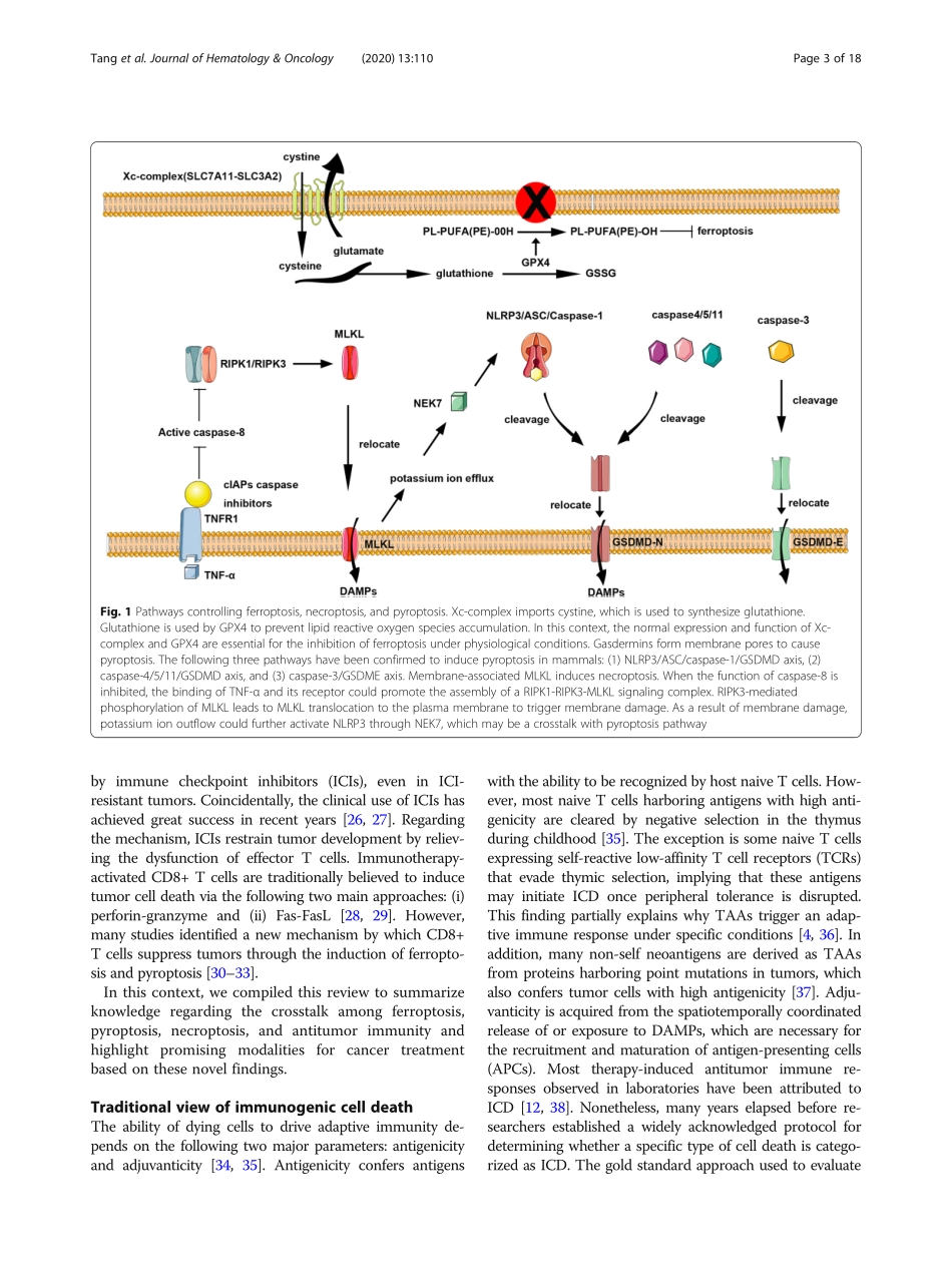 Ferroptosis, necroptosis, and pyroptosis in an.pdf_第3页