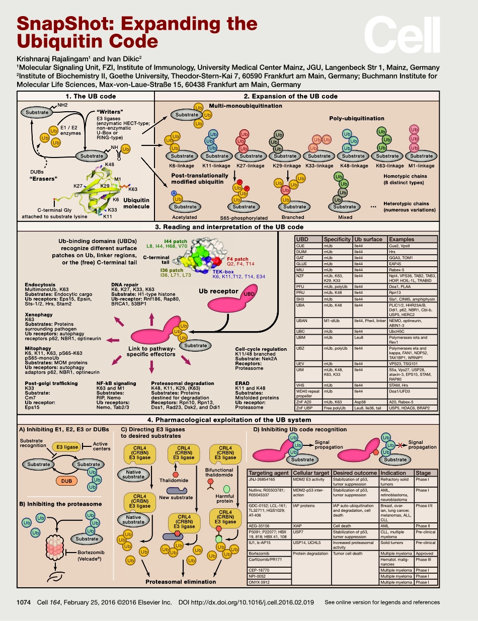 Expanding the Ubiquitin Code.pdf_第1页