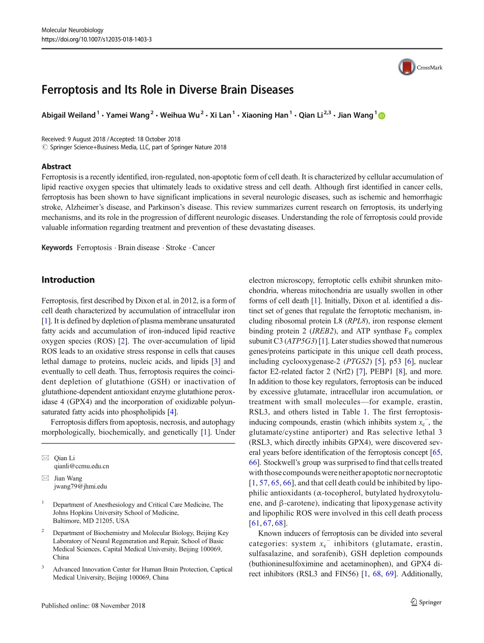 Ferroptosis and Its Role in Diverse Brain Diseases.pdf_第1页