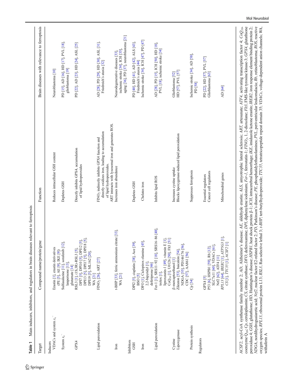 Ferroptosis and Its Role in Diverse Brain Diseases.pdf_第2页