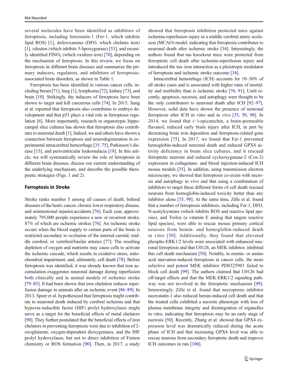 Ferroptosis and Its Role in Diverse Brain Diseases.pdf_第3页