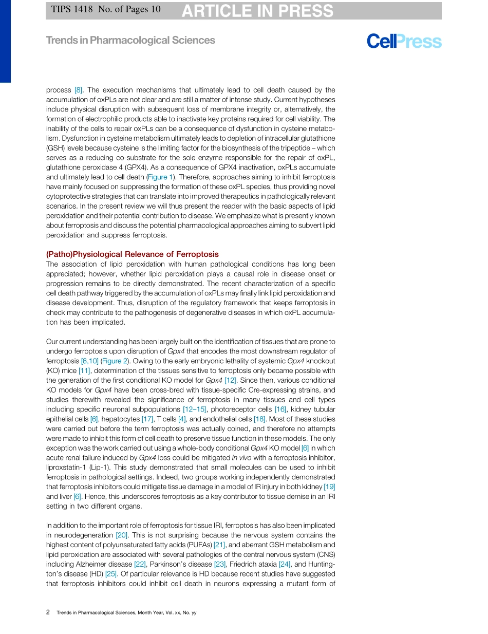Ferroptosis Inhibition-Mechanisms and Opportunities.pdf_第2页