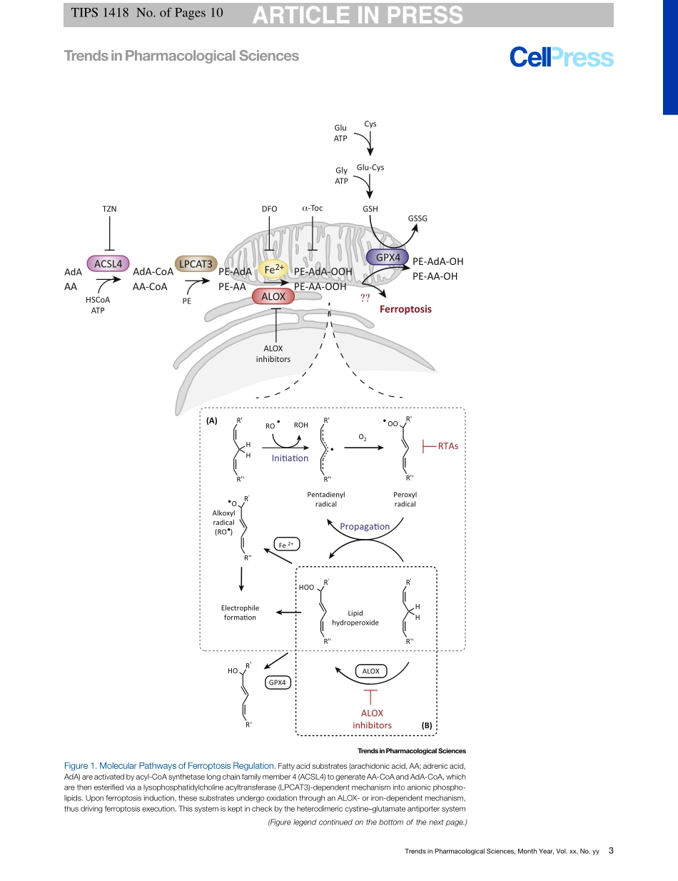 Ferroptosis Inhibition-Mechanisms and Opportunities.pdf_第3页