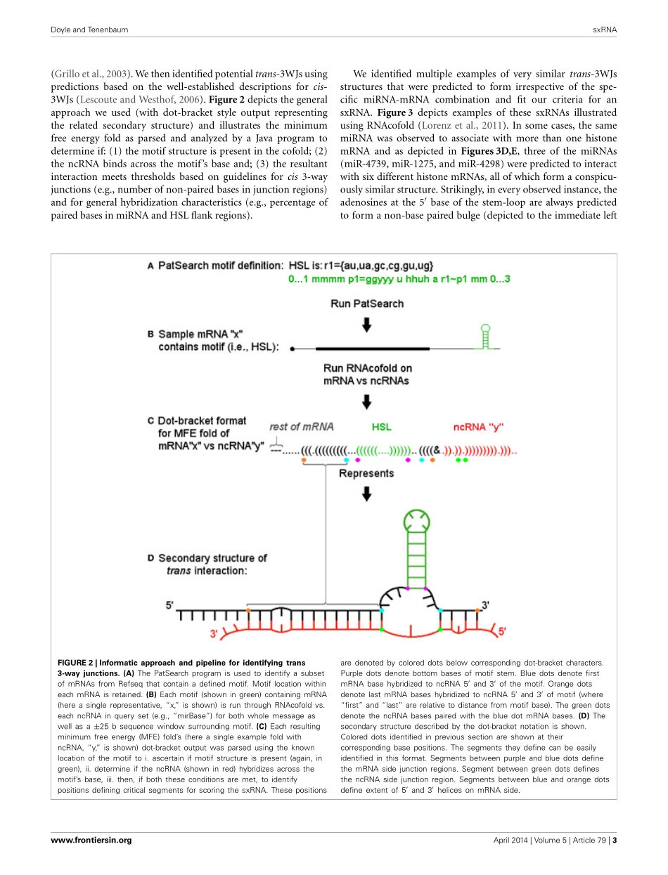 fgene-05-00079.pdf_第3页