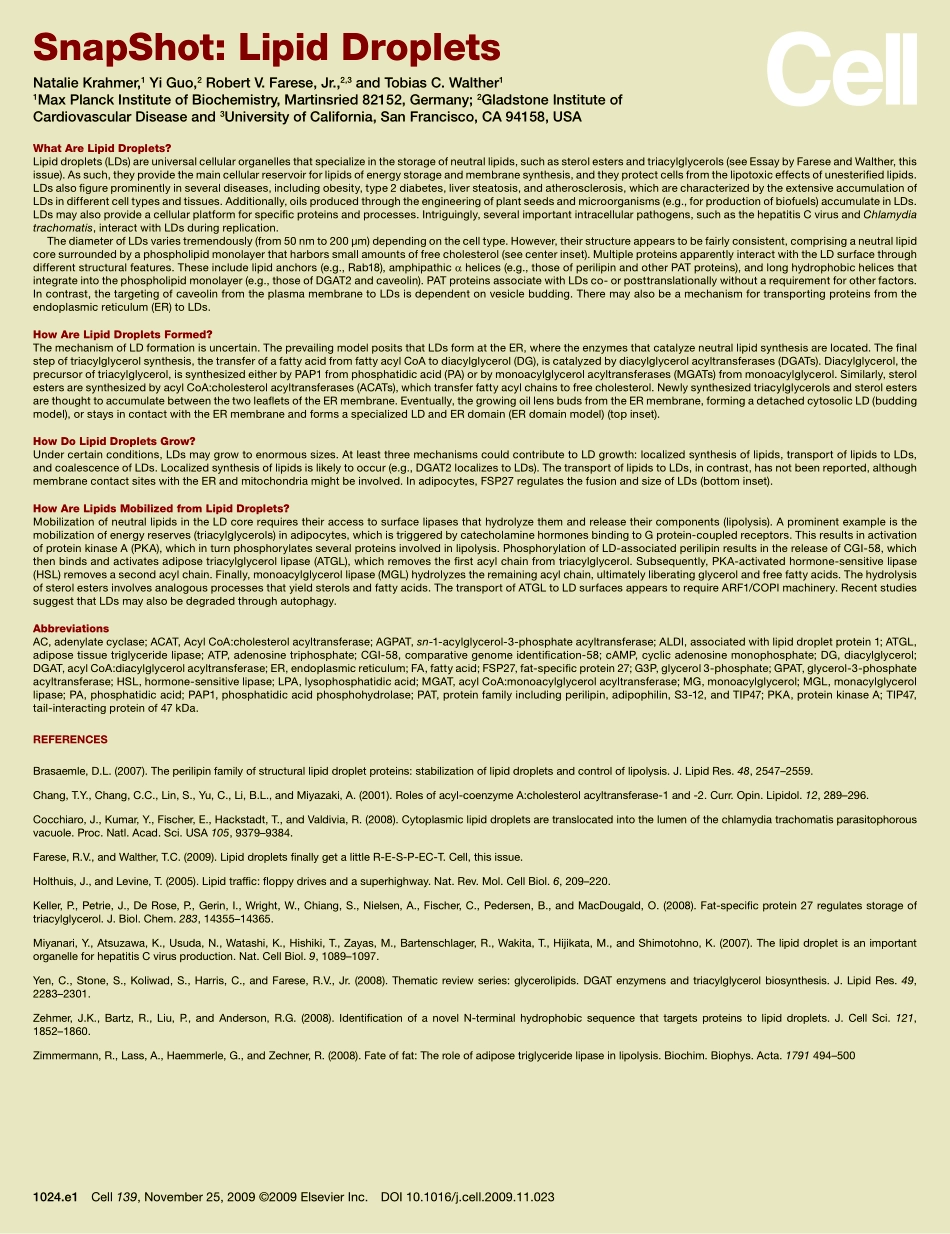 Lipid Droplets.PDF_第2页