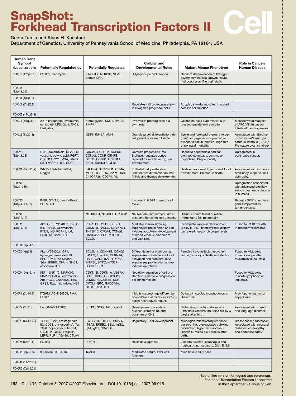 Forkhead Transcription Factors II.pdf_第1页