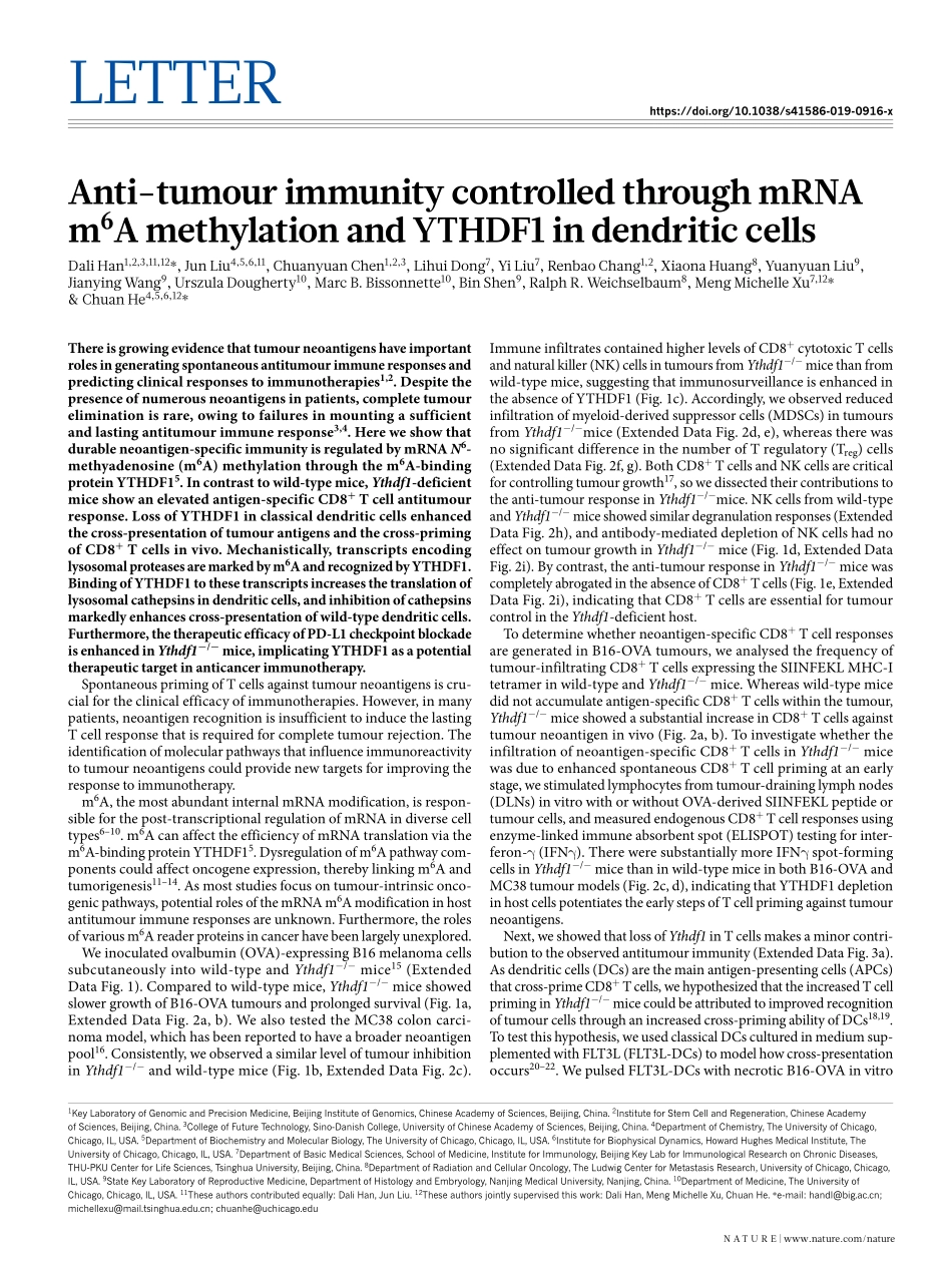 5、Nature 2019-通过mRNA m6A甲基化和YTHDF1在树突状细胞中控制抗肿瘤免疫.pdf_第1页