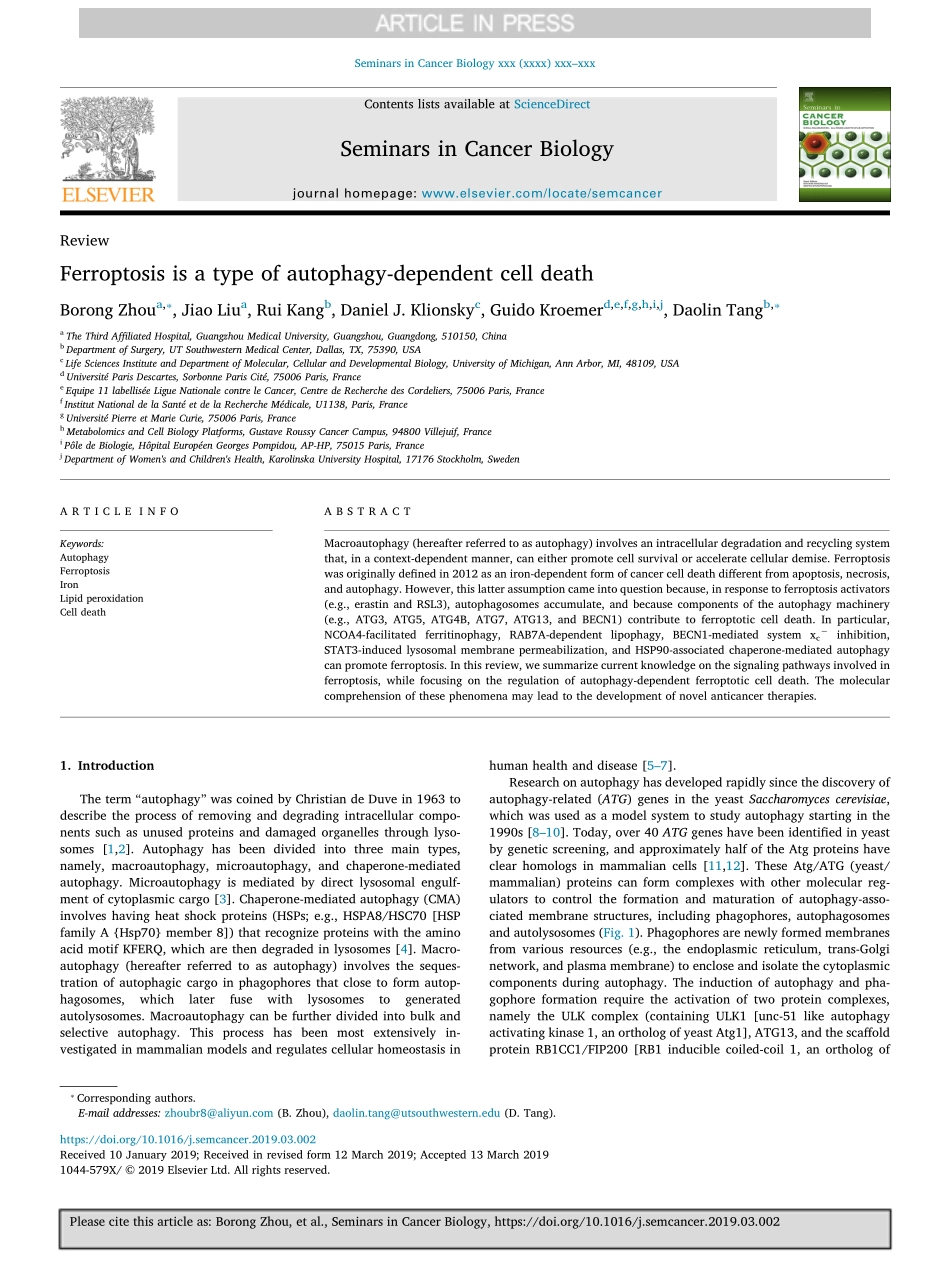 Ferroptosis is a type of autophagy-dependent c.pdf_第1页