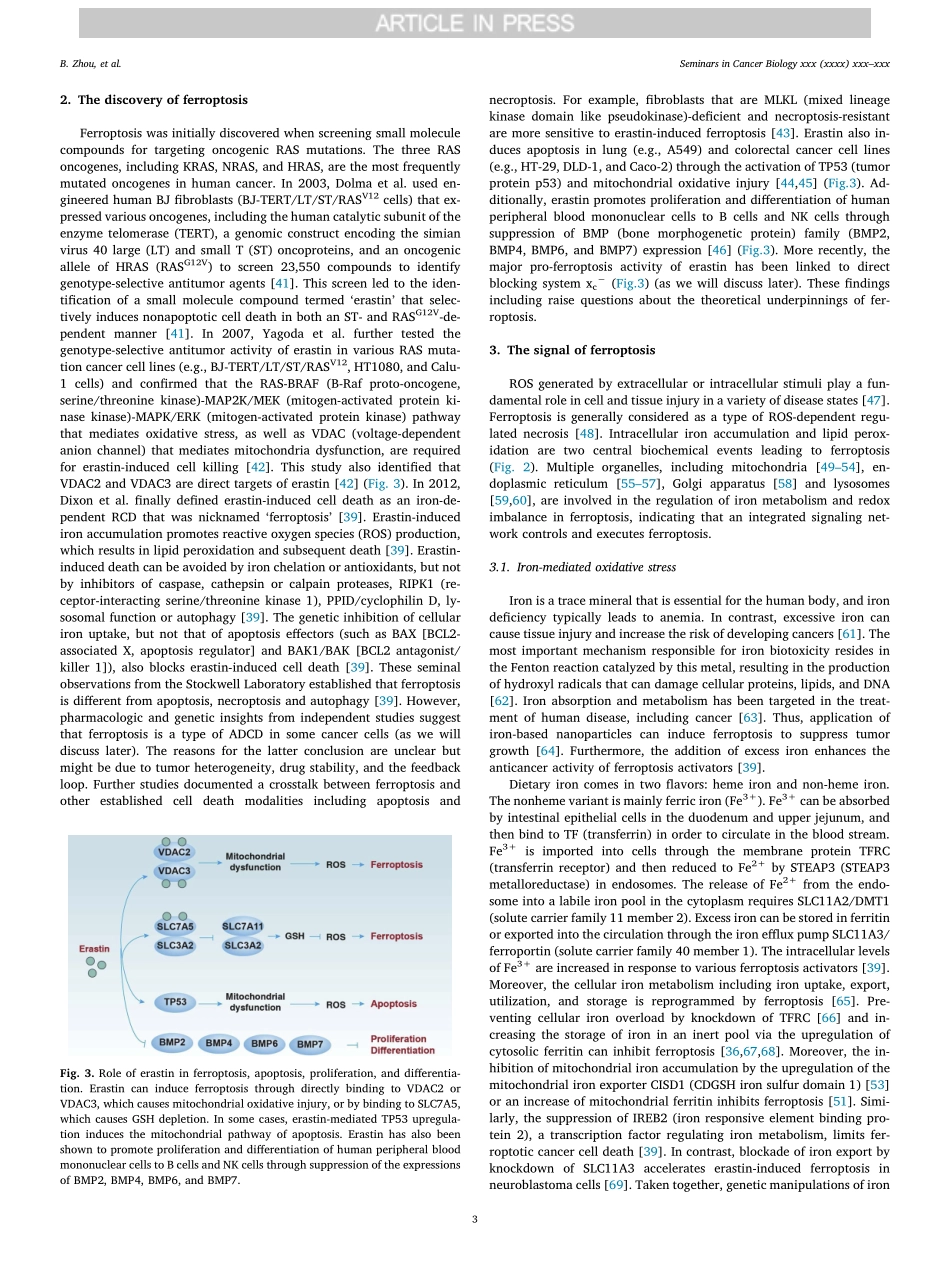 Ferroptosis is a type of autophagy-dependent c.pdf_第3页