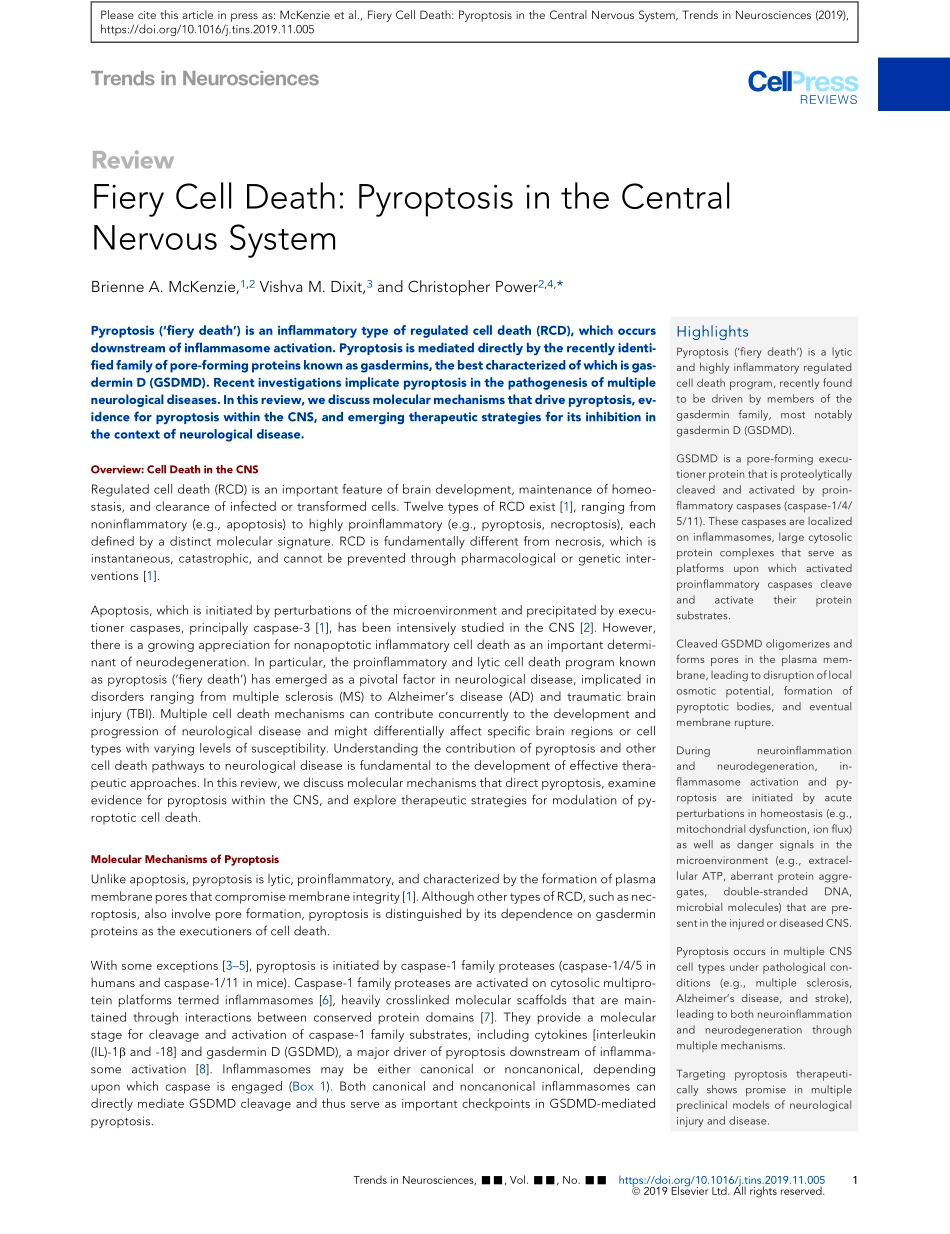 Fiery Cell Death Pyroptosis in the Central Ner.pdf_第1页
