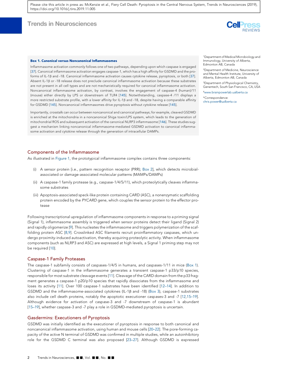 Fiery Cell Death Pyroptosis in the Central Ner.pdf_第2页