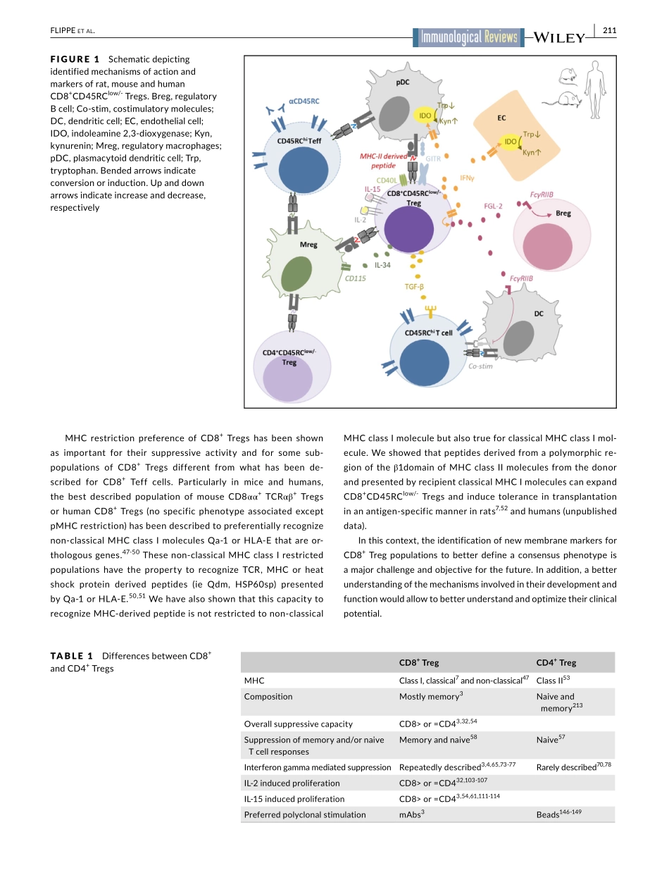 Future prospects for CD8+ regulatory T cells i.pdf_第3页