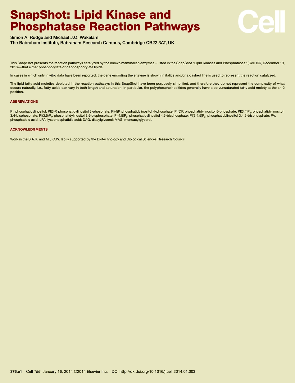 Lipid Kinase and Phosphatase Reaction Pathways.pdf_第2页