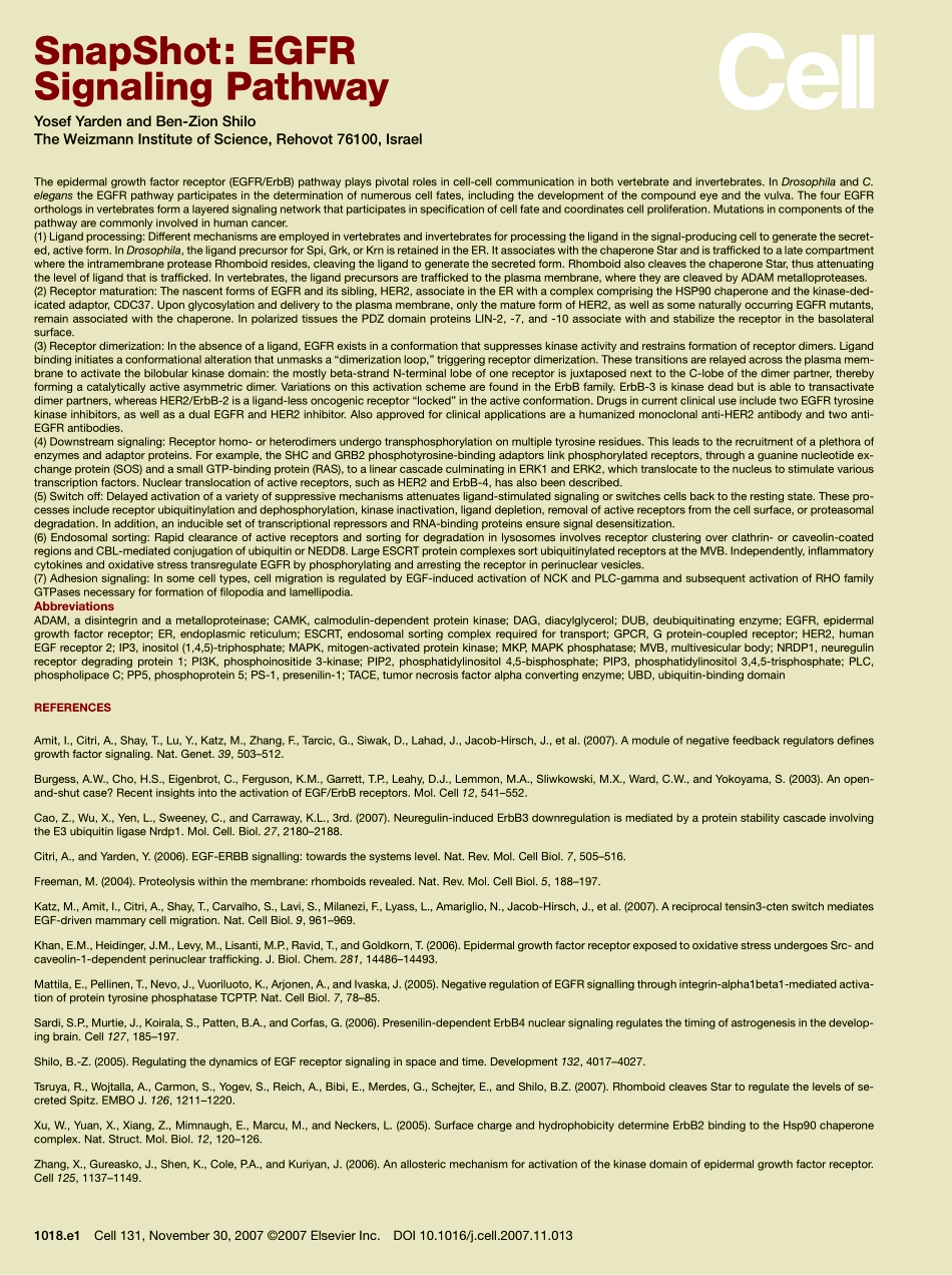 EGFR Signaling Pathway.pdf_第2页