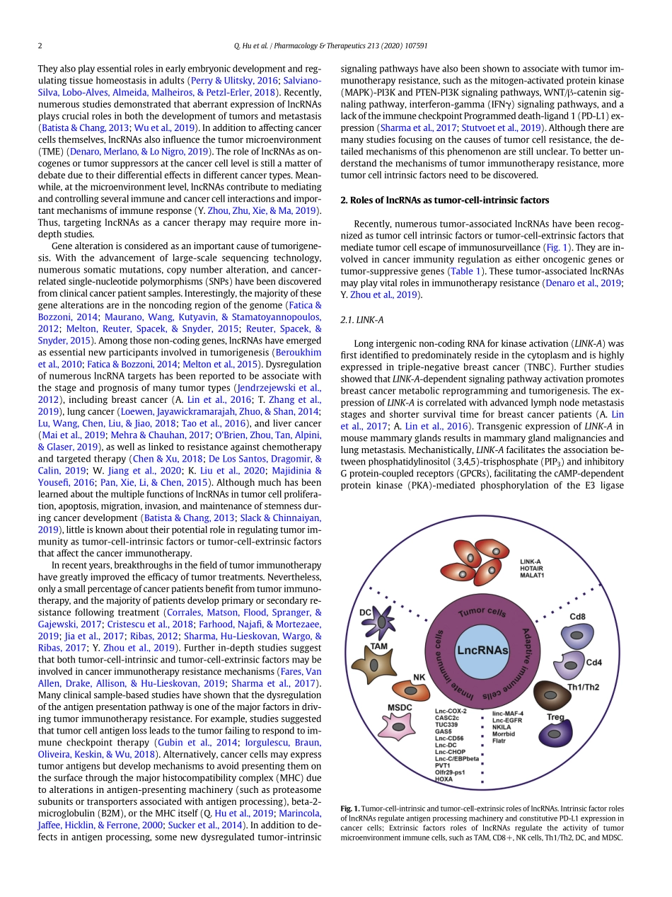 Long nocoding RNA loss in immune suppression i.pdf_第2页