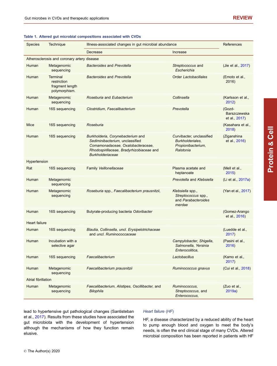 Gut microbes in cardiovascular diseases and th.pdf_第3页