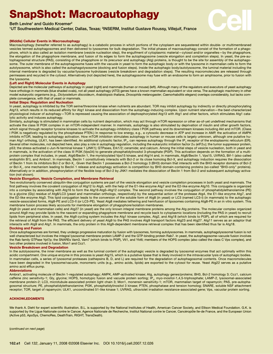 Macroautophagy.pdf_第2页