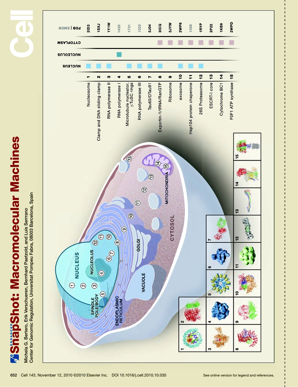 Macromolecular Machines.PDF_第1页