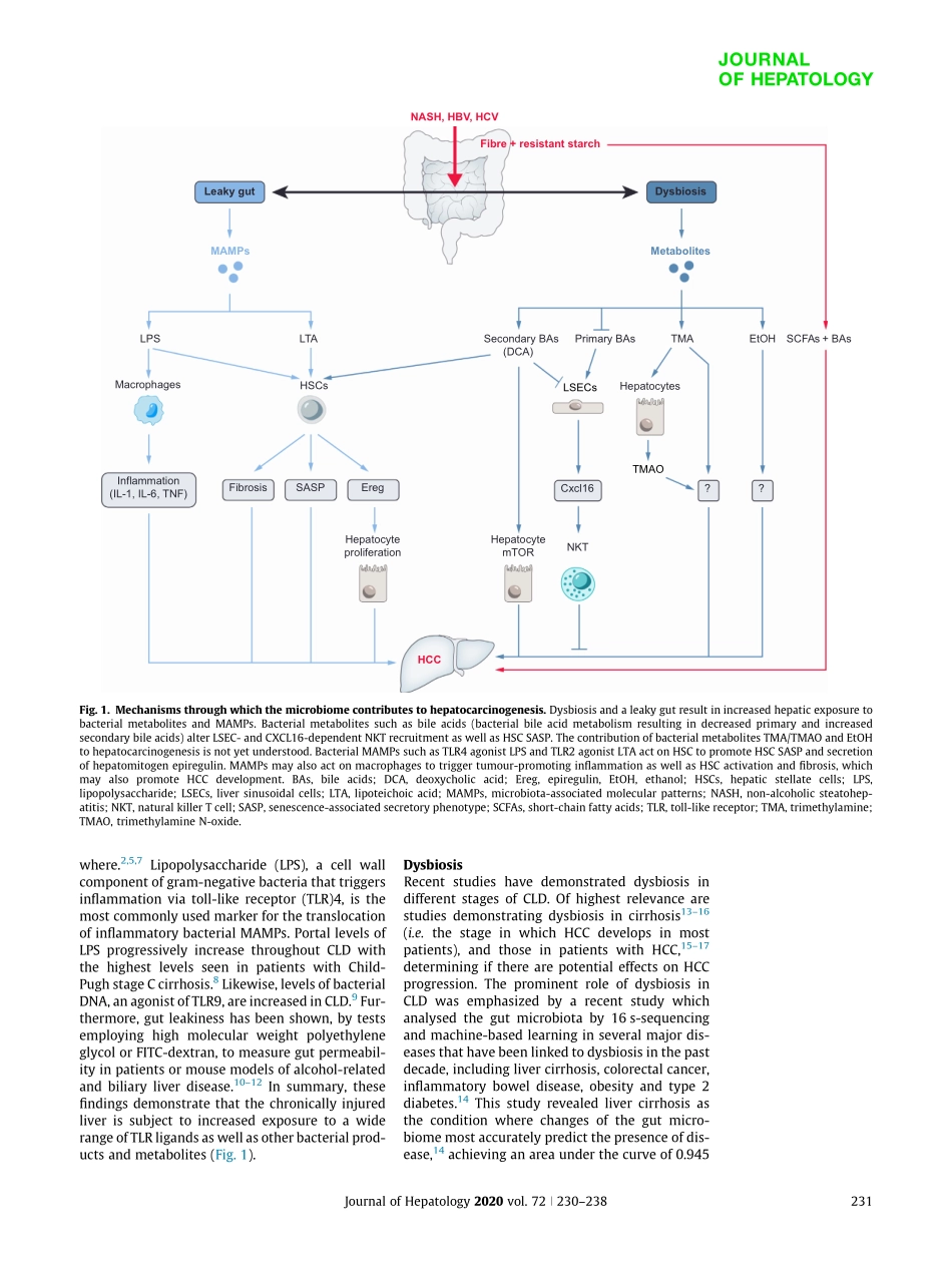 Gut microbiome in HCC-Mechanisms diagnosis and.pdf_第2页