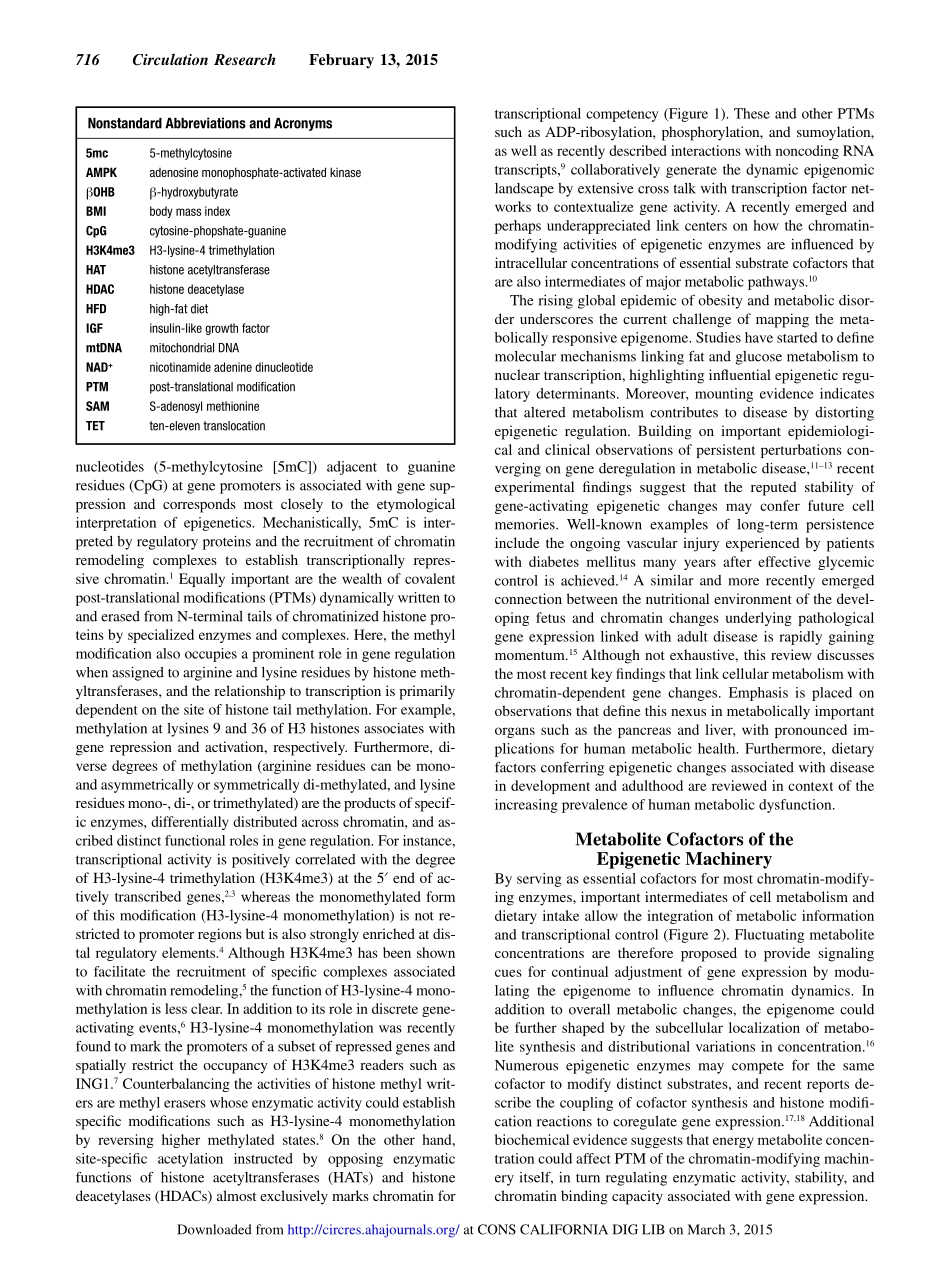 Epigenetics and Metabolism.pdf_第2页