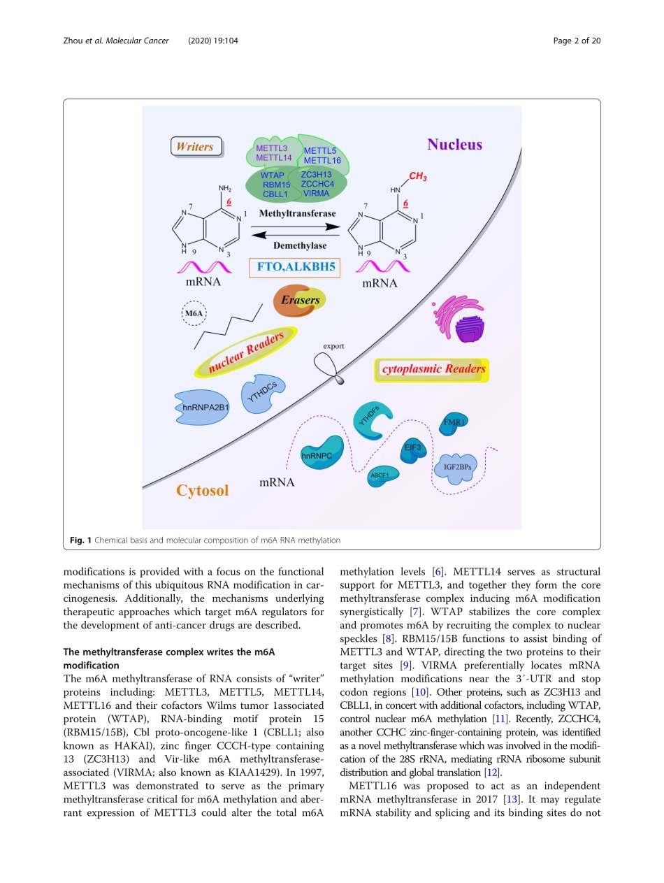 Mechanism of RNA modification N6methyladenosin.pdf_第2页