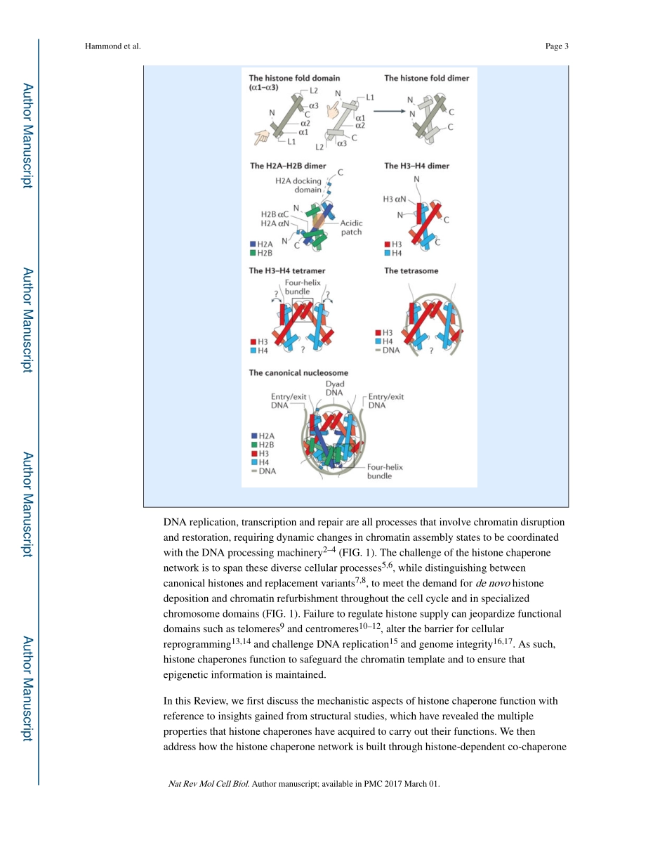 Hammond-2017-Histone chaperone networks shapin.pdf_第3页