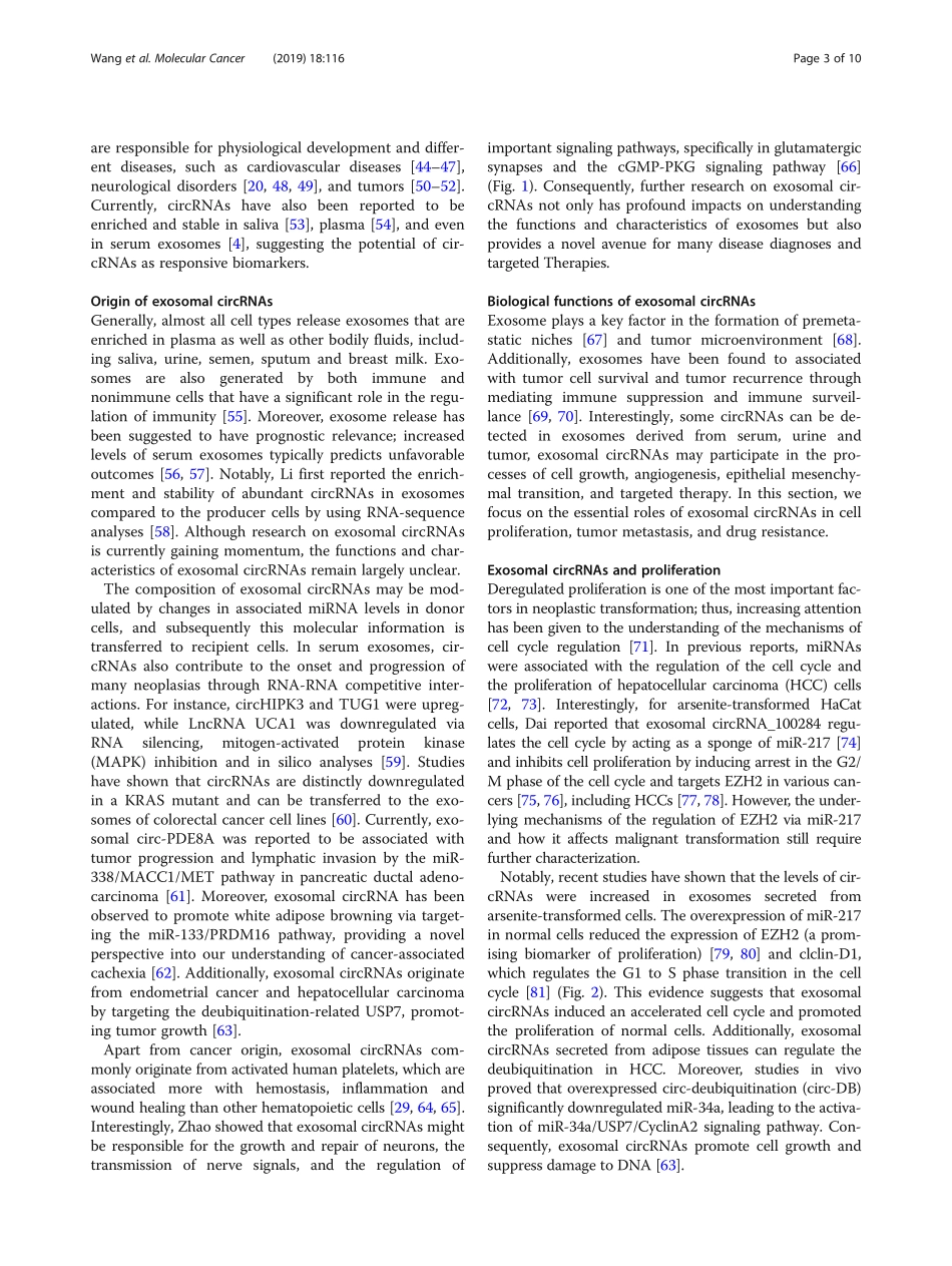 Exosomal circRNAs biogenesis, effect and appli.pdf_第3页