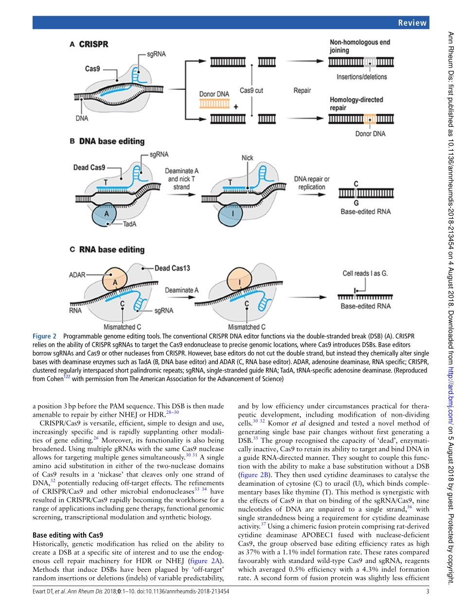 3、Ann. Rheum. Dis. 2019-炎症性疾病的基因编辑.pdf_第3页