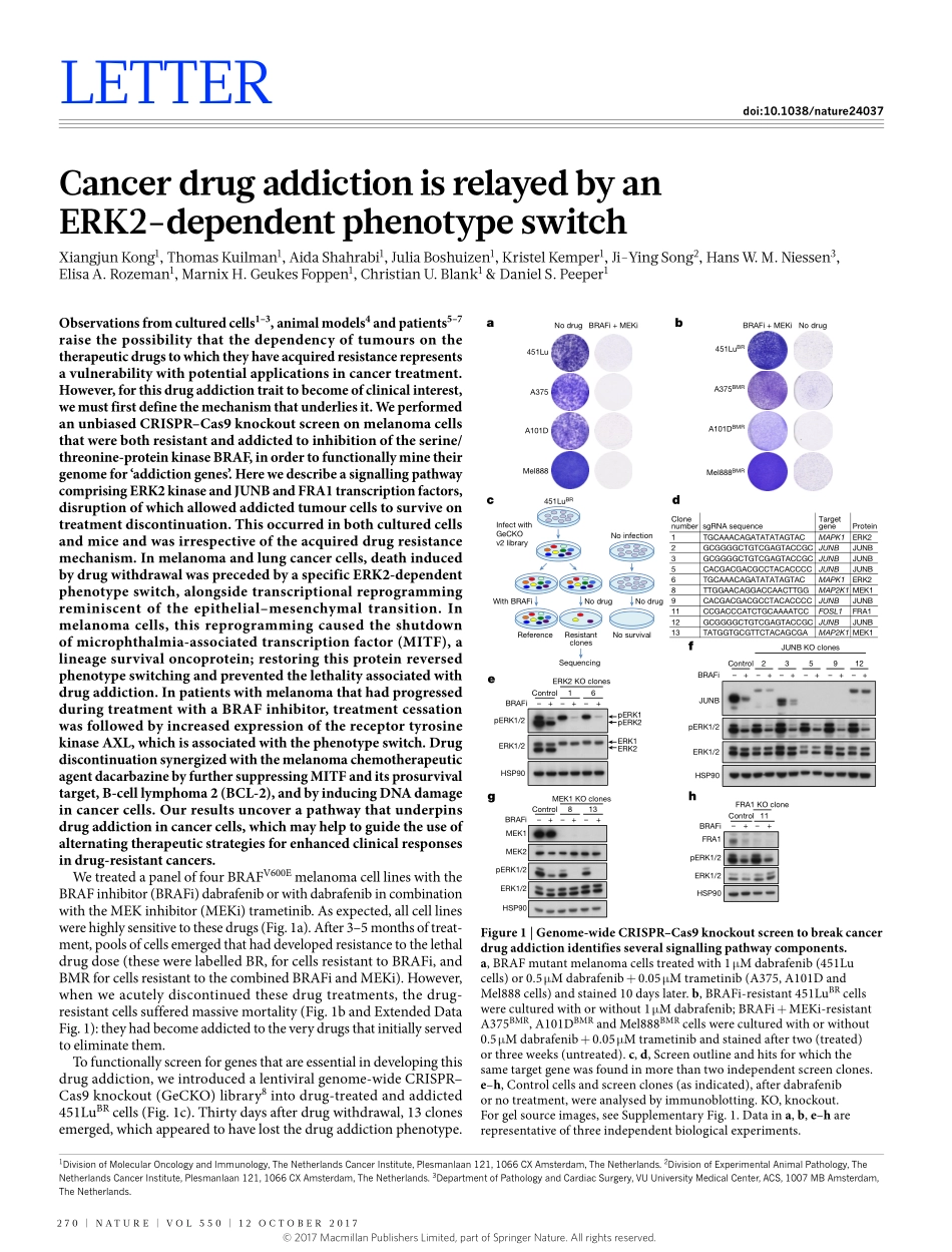 2017-Kong-Cancer drug addiction is relayed by.pdf_第1页