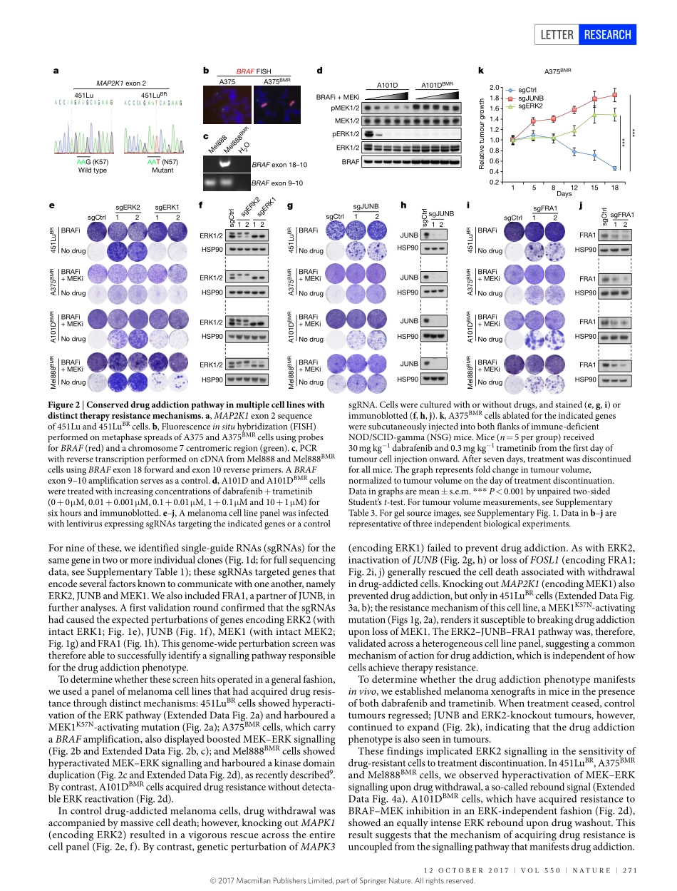 2017-Kong-Cancer drug addiction is relayed by.pdf_第2页