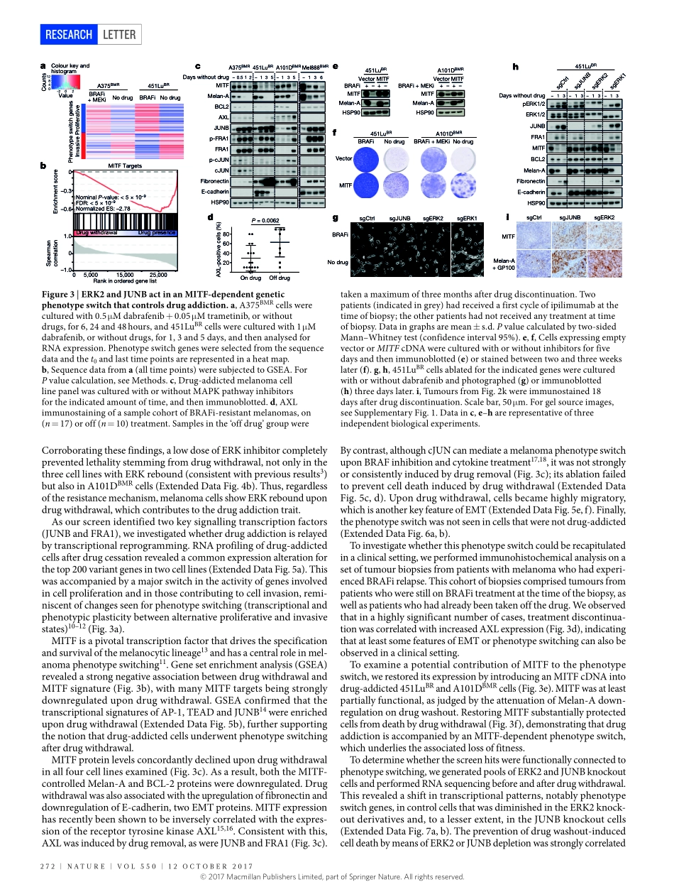 2017-Kong-Cancer drug addiction is relayed by.pdf_第3页